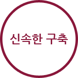 신속한 구축